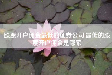 股票开户佣金最低的证券公司,最低的股票开户佣金是哪家