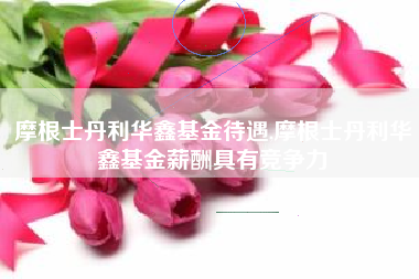 摩根士丹利华鑫基金待遇,摩根士丹利华鑫基金薪酬具有竞争力