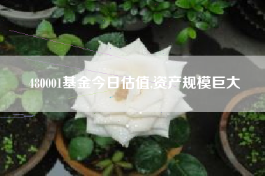 480001基金今日估值,资产规模巨大