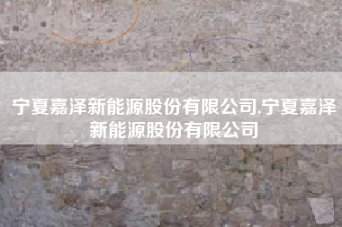 宁夏嘉泽新能源股份有限公司,宁夏嘉泽新能源股份有限公司