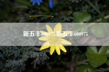 新五丰600975,新五丰600975