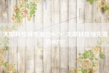 大摩科技领先混合002707,大摩科技领先混合002707