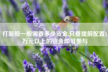 打新股一般需要多少资金,只要提前配置1万元以上的资金即可参与