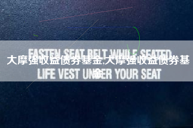 大摩强收益债券基金,大摩强收益债券基金