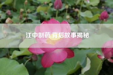 江中制药,背后故事揭秘