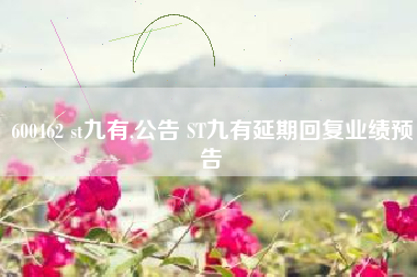 600462 st九有,公告 ST九有延期回复业绩预告