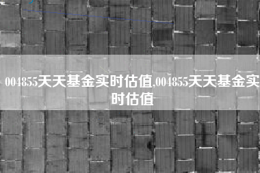 004855天天基金实时估值,004855天天基金实时估值