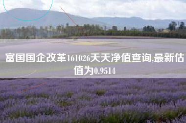 富国国企改革161026天天净值查询,最新估值为0.9514