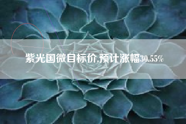 紫光国微目标价,预计涨幅30.55%