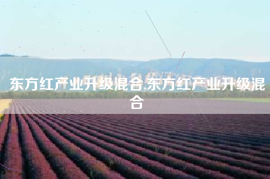 东方红产业升级混合,东方红产业升级混合