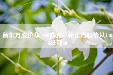 新东方股价从1400跌到60,新东方股价从1400跌到60