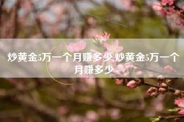 炒黄金5万一个月赚多少,炒黄金5万一个月赚多少