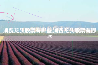 消费龙头股票有哪些,消费龙头股票有哪些