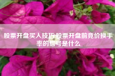 股票开盘买入技巧,股票开盘前竞价换手率的信号是什么