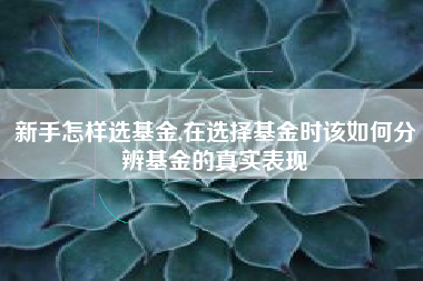 新手怎样选基金,在选择基金时该如何分辨基金的真实表现