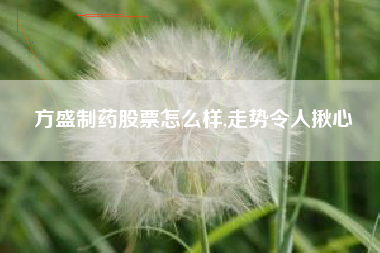 方盛制药股票怎么样,走势令人揪心