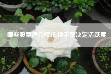 哪些股票适合短线,换手率决定活跃度