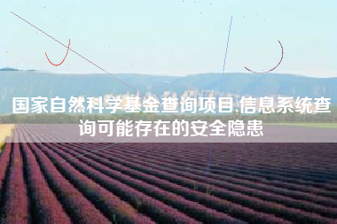 国家自然科学基金查询项目,信息系统查询可能存在的安全隐患