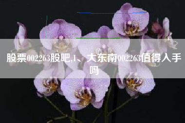股票002263股吧,1、大东南002263值得入手吗