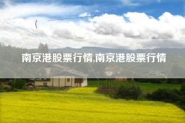 南京港股票行情,南京港股票行情