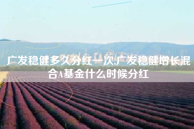 广发稳健多久分红一次,广发稳健增长混合A基金什么时候分红