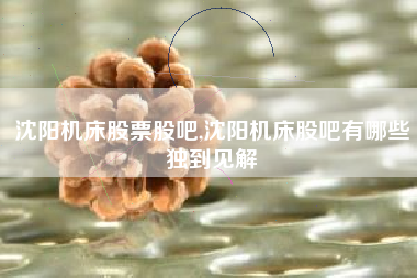 沈阳机床股票股吧,沈阳机床股吧有哪些独到见解