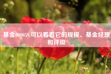 基金000059,可以看看它的规模、基金经理和评级