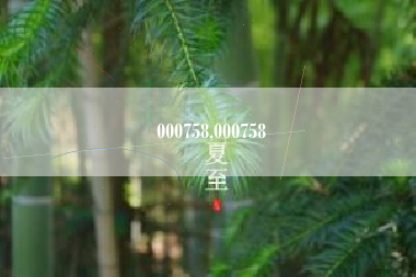 000758,000758