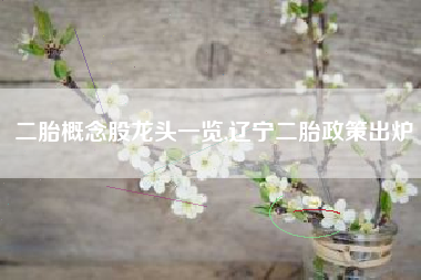 二胎概念股龙头一览,辽宁二胎政策出炉