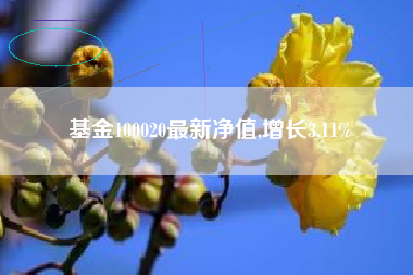 基金100020最新净值,增长3.11%