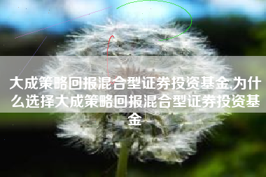 大成策略回报混合型证券投资基金,为什么选择大成策略回报混合型证券投资基金