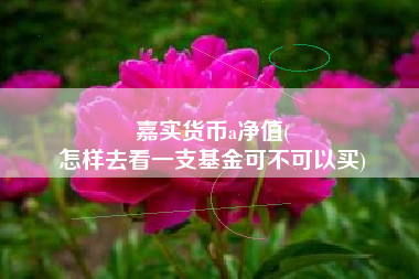 嘉实货币a净值(
怎样去看一支基金可不可以买)