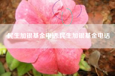 民生加银基金电话,民生加银基金电话