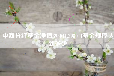 中海分红基金净值398011,398011基金规模达到多少