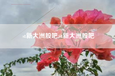 st新大洲股吧,st新大洲股吧