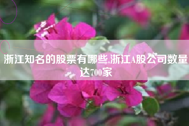 浙江知名的股票有哪些,浙江A股公司数量达700家