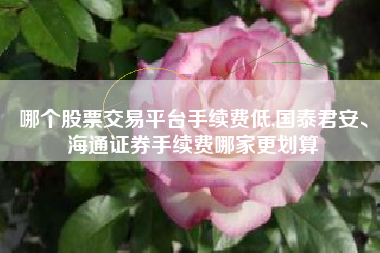 哪个股票交易平台手续费低,国泰君安、海通证券手续费哪家更划算