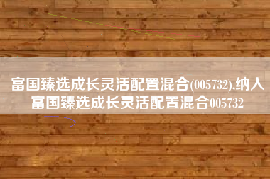 富国臻选成长灵活配置混合(005732),纳入富国臻选成长灵活配置混合005732