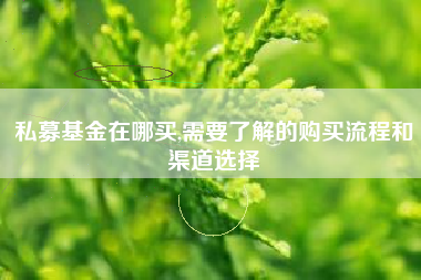 私募基金在哪买,需要了解的购买流程和渠道选择
