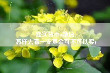 嘉实货币a净值(
怎样去看一支基金可不可以买)