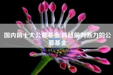 国内前十大公募基金,具超前判断力的公募基金