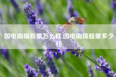 国电南瑞股票怎么样,国电南瑞股票多少钱