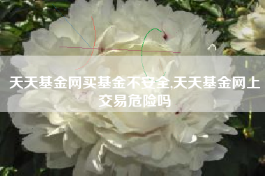 天天基金网买基金不安全,天天基金网上交易危险吗