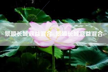 景顺长城鼎益混合c,景顺长城鼎益混合c