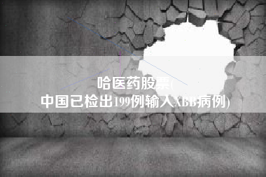 哈医药股票(
中国已检出199例输入XBB病例)