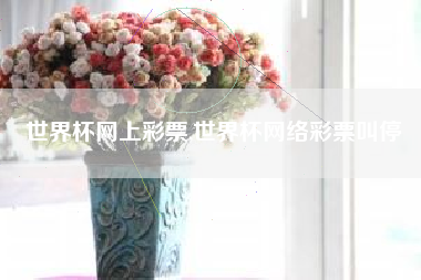 世界杯网上彩票,世界杯网络彩票叫停