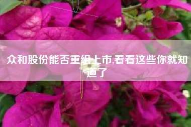 众和股份能否重组上市,看看这些你就知道了