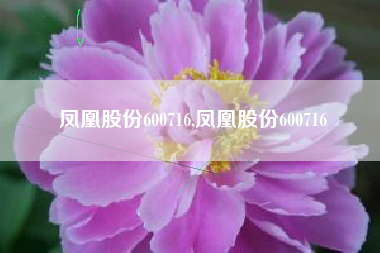 凤凰股份600716,凤凰股份600716