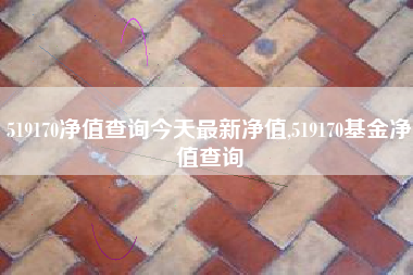 519170净值查询今天最新净值,519170基金净值查询