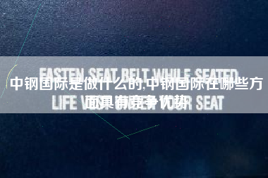 中钢国际是做什么的,中钢国际在哪些方面具有竞争优势